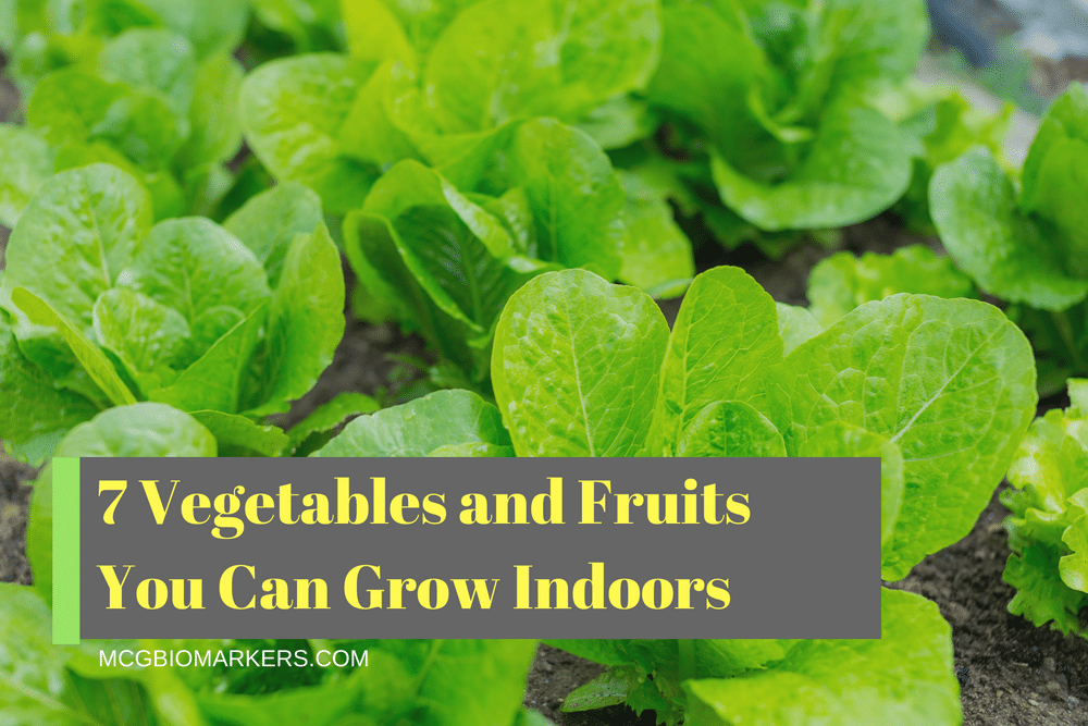 7 Vegetables and Fruits You Can Grow Indoors MCG BioMarkers