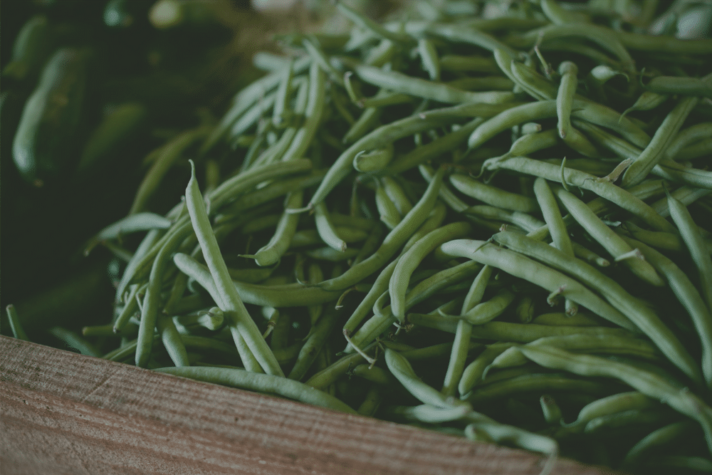 Tips For Growing More Food in a Small Space