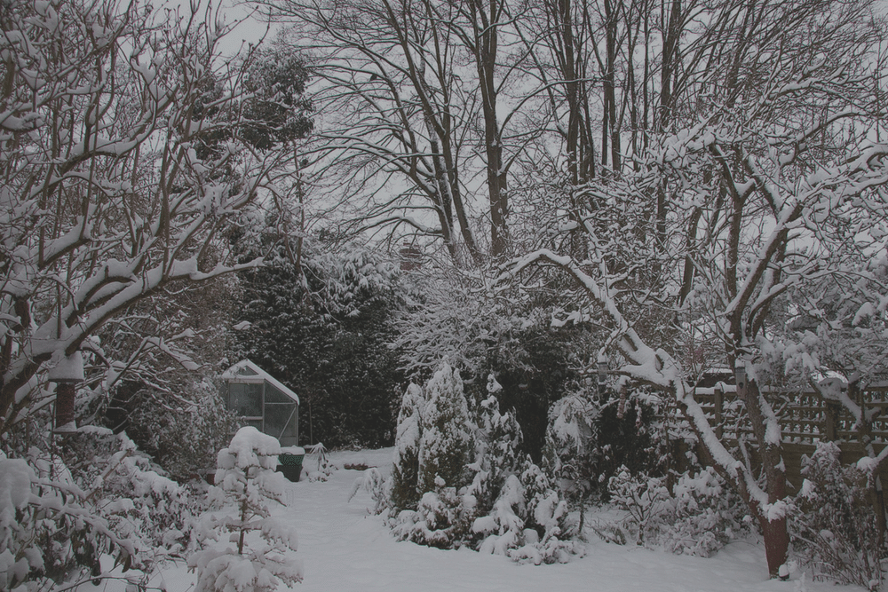 How to Awaken Your Organic Garden After Winter
