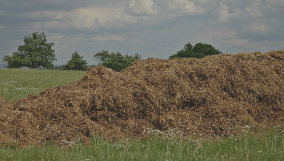 Organic Fertilizer