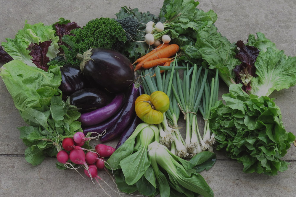 FOODSCAPING: THE ART OF CREATING AN EDIBLE LANDSCAPE
