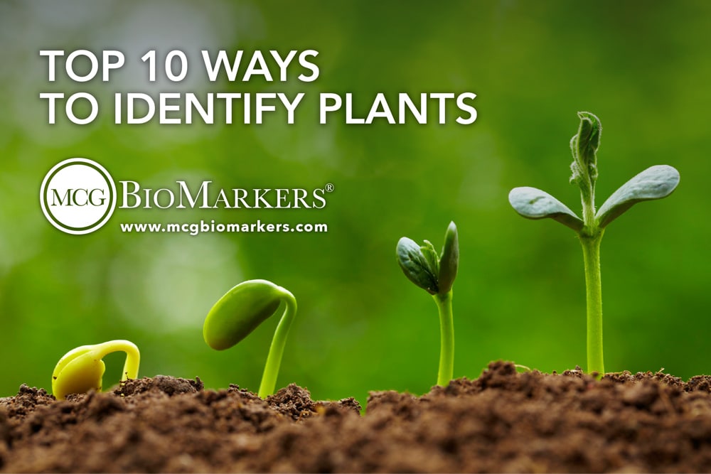 Top 10 ways to identify plants MCG BioMarkers