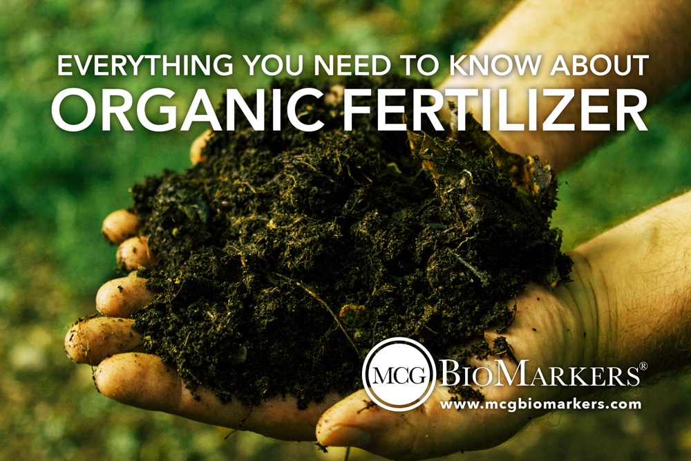 Everything You Need to Know About Organic Fertilizer - MCG Bio Markers