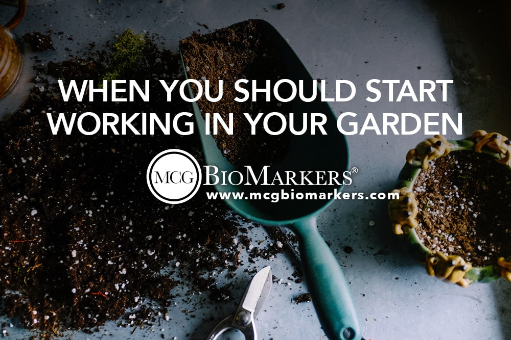 Iowa Gardening Zones When You Should Start Working in Your Garden