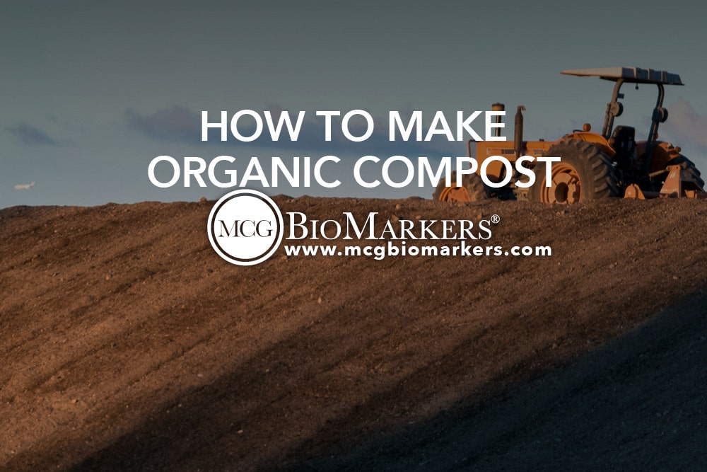 How to Make Organic Compost 1.jpg