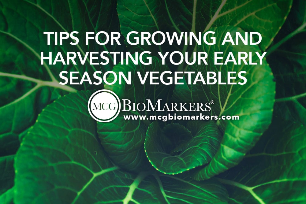 Tips for Growing and Harvesting Your Early Season Vegetables – MCG Bio ...